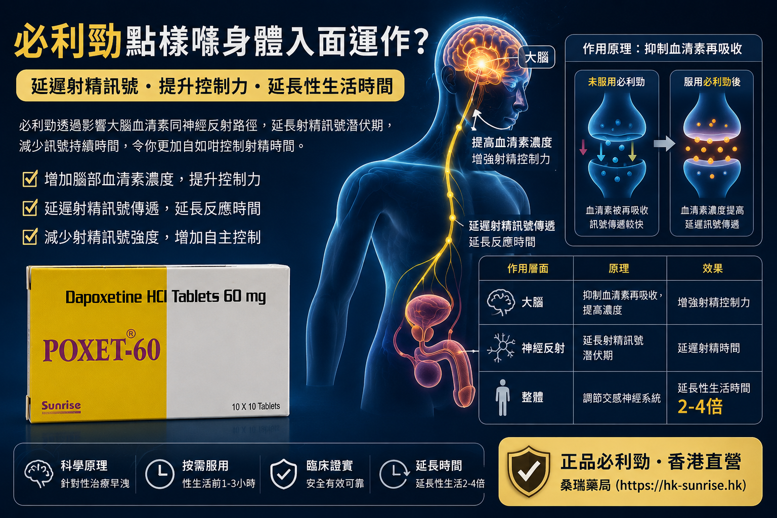 必利勁點樣喺身體入面運作？